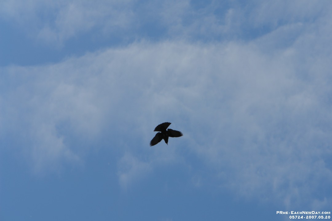 05724 - Victoria Day Weekend Sunday at the cottage (Happy Anniversary!)